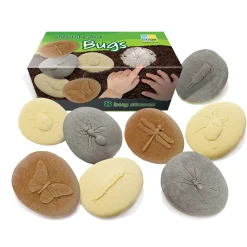 Educators Resource Yellow Door Let's Investigate Bugs Stone - Outdoor Learning - Pack of 8* Preschool Education Toys & Activities