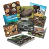 Educators Resource Yellow Door Prehistoric Teeth Activity Cards - Discover Dinosaur Secrets - Set of 16* Science & Discovery
