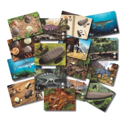 Educators Resource Yellow Door Prehistoric Teeth Activity Cards - Discover Dinosaur Secrets - Set of 16* Science & Discovery