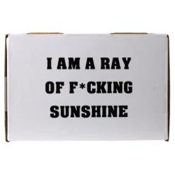 Calendar Holdings, LLC Yellow Ray of Sunshine 16 oz Cheerful Mug* Crafts & Activities